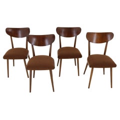 Sillas de comedor de haya en Boucle, Checoslovaquia, años 50