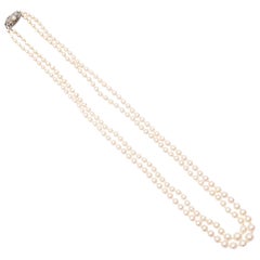 1950s Double Strand Pearl Clasp Necklace