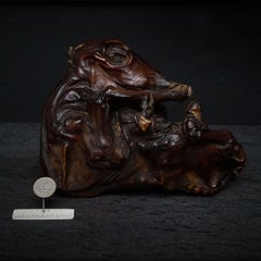 1950er Jahre Dutch Rare Mummified Veterinary Calf Foetus Specimen Kuriosität