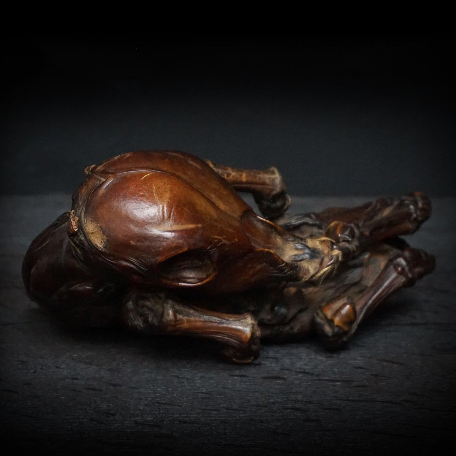 Cuir 1950s Dutch Rare Mummified Veterinary Calf Foetus Specimen Curiosity en vente