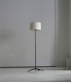 1950s Elegant Italian Modernist Iron Floor Lamp