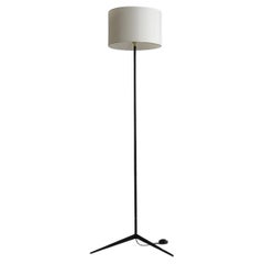 1950er Jahre Elegante italienische modernistische Stehlampe aus Eisen