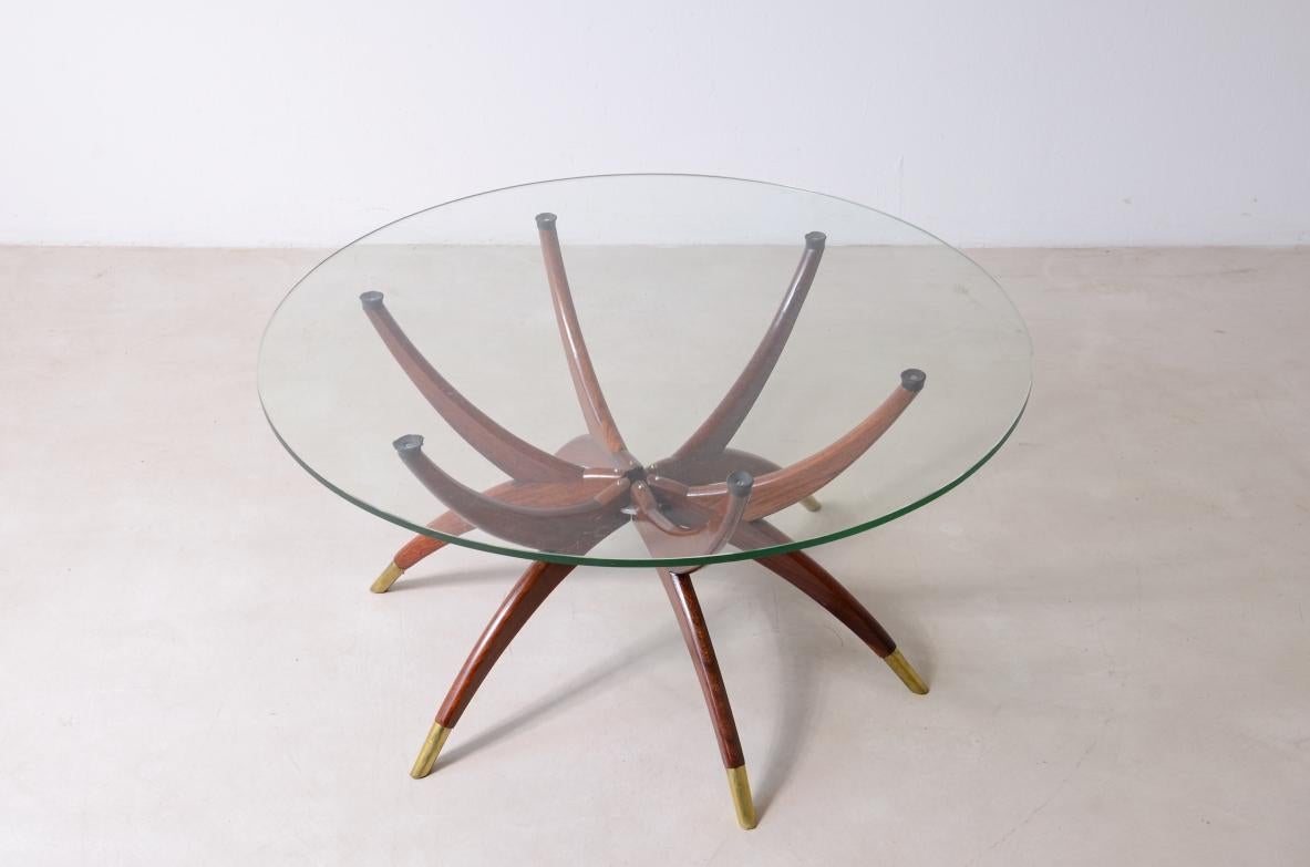COD-2558
Elegante table basse à 6 pieds en bois courbé avec embouts en laiton et plateau en verre taillé.

Fabrication italienne, vers 1950.