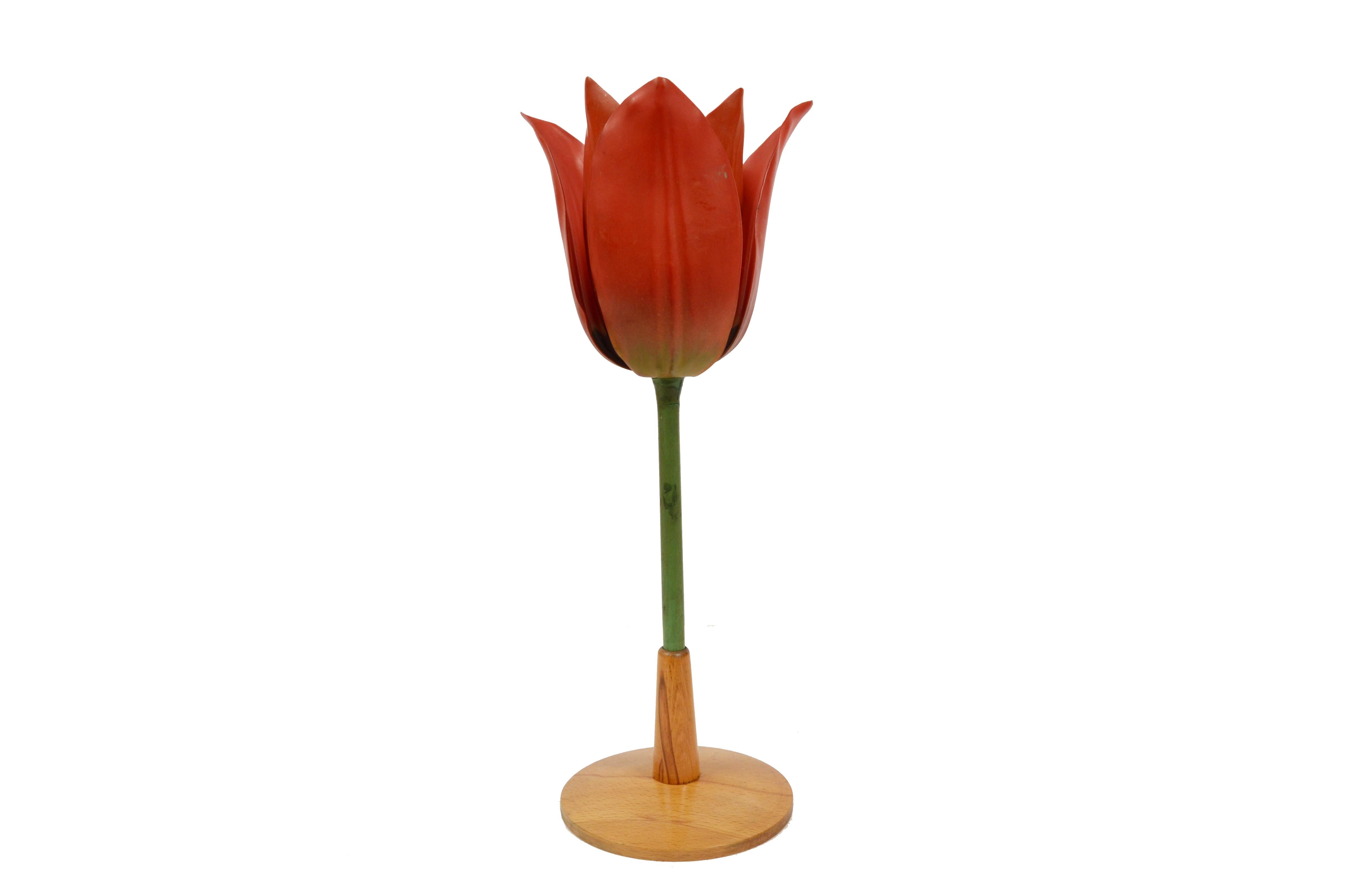 1950s Enlarged Didactic German Botanic Model Depicting a Poppy Flower In Good Condition In Milan, IT