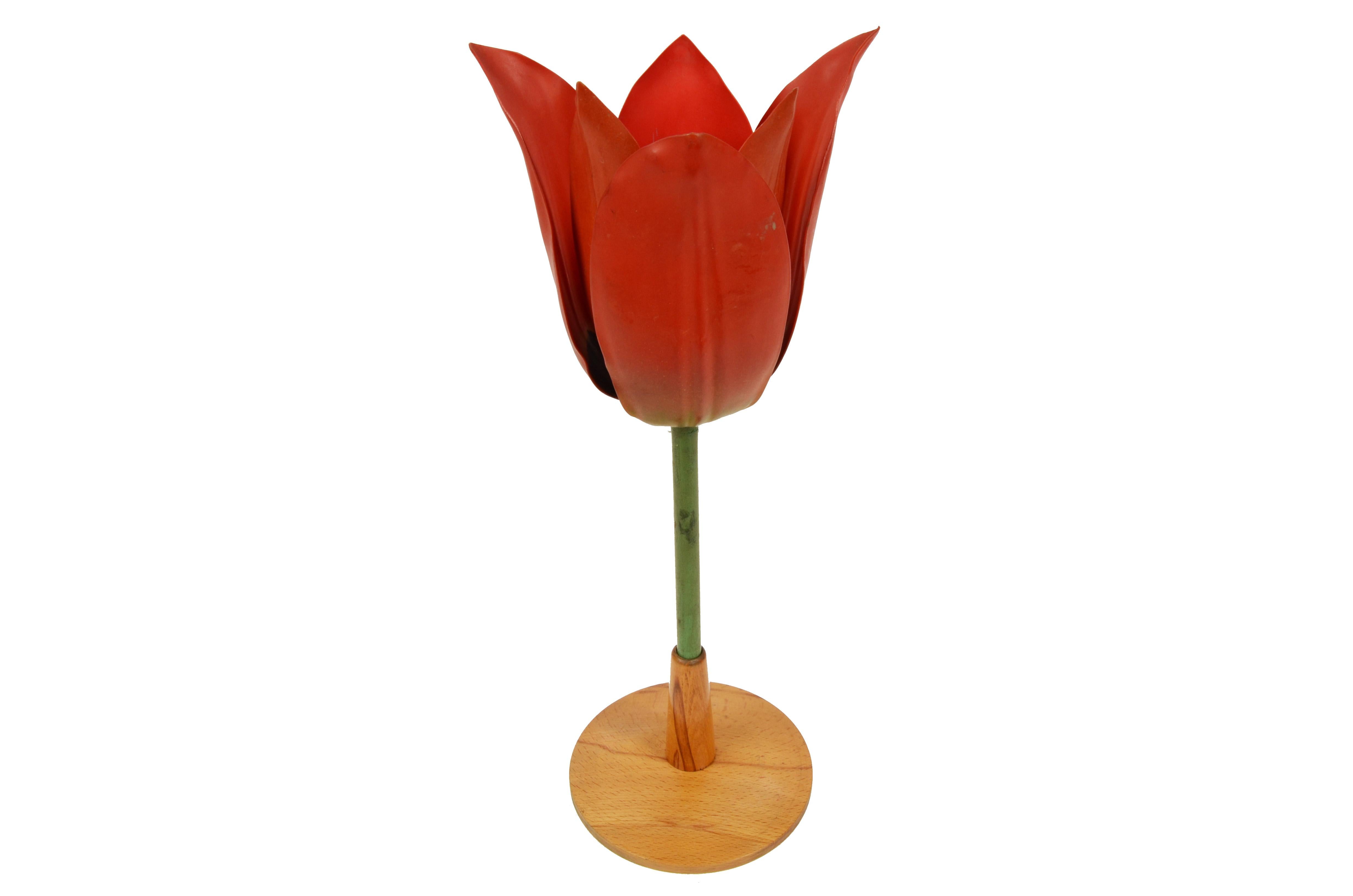 20th Century 1950s Enlarged Didactic German Botanic Model Depicting a Poppy Flower