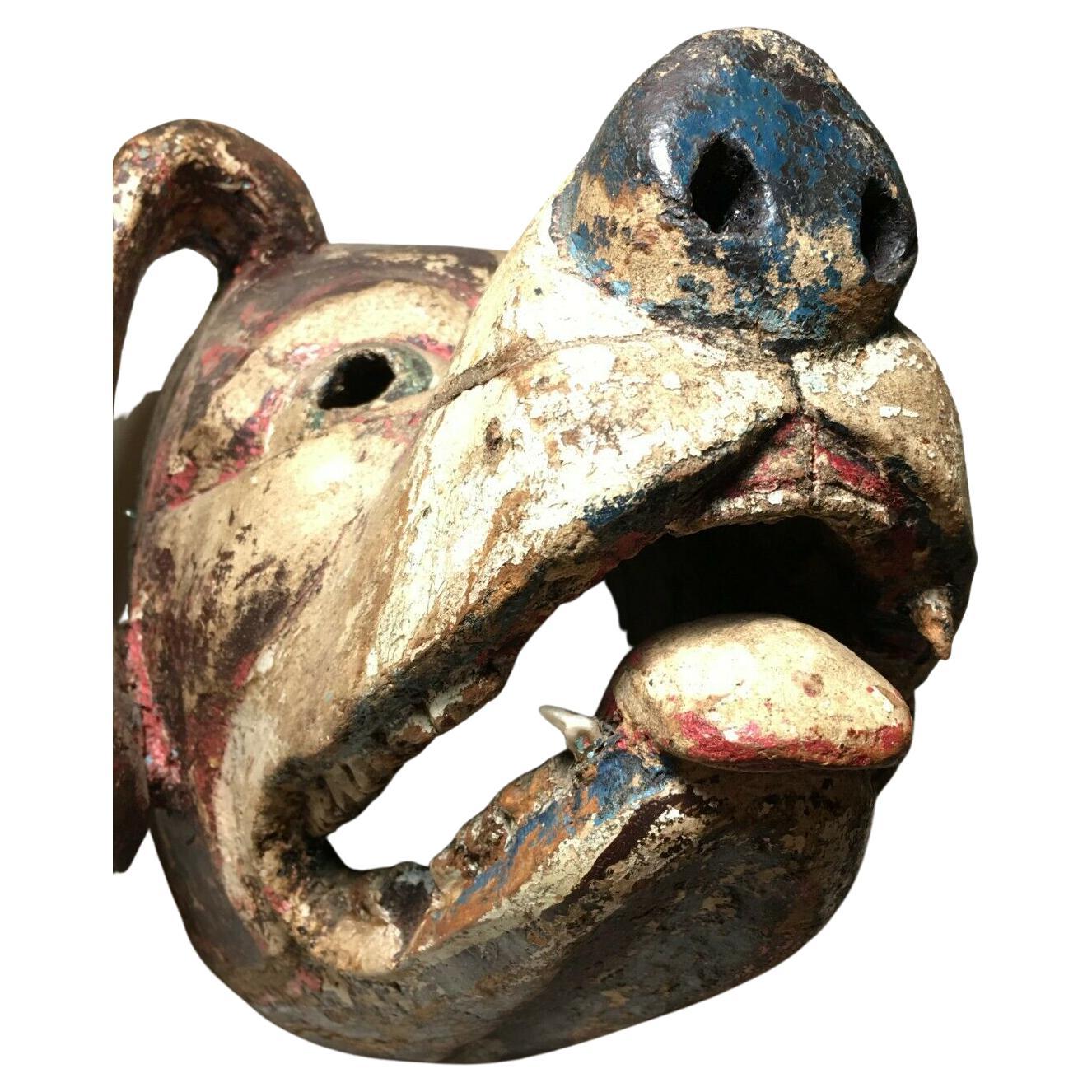 20th Century 1950s, Ethnographic, Danced, Ecuadorian (Ecuador) Wooden Dog Mask w/Real Teeth! For Sale
