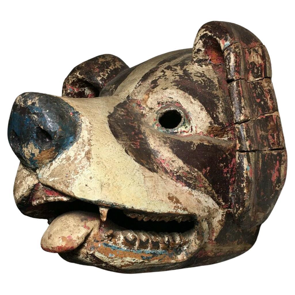 1950s, Ethnographic, Danced, Ecuadorian (Ecuador) Wooden Dog Mask w/Real Teeth! For Sale