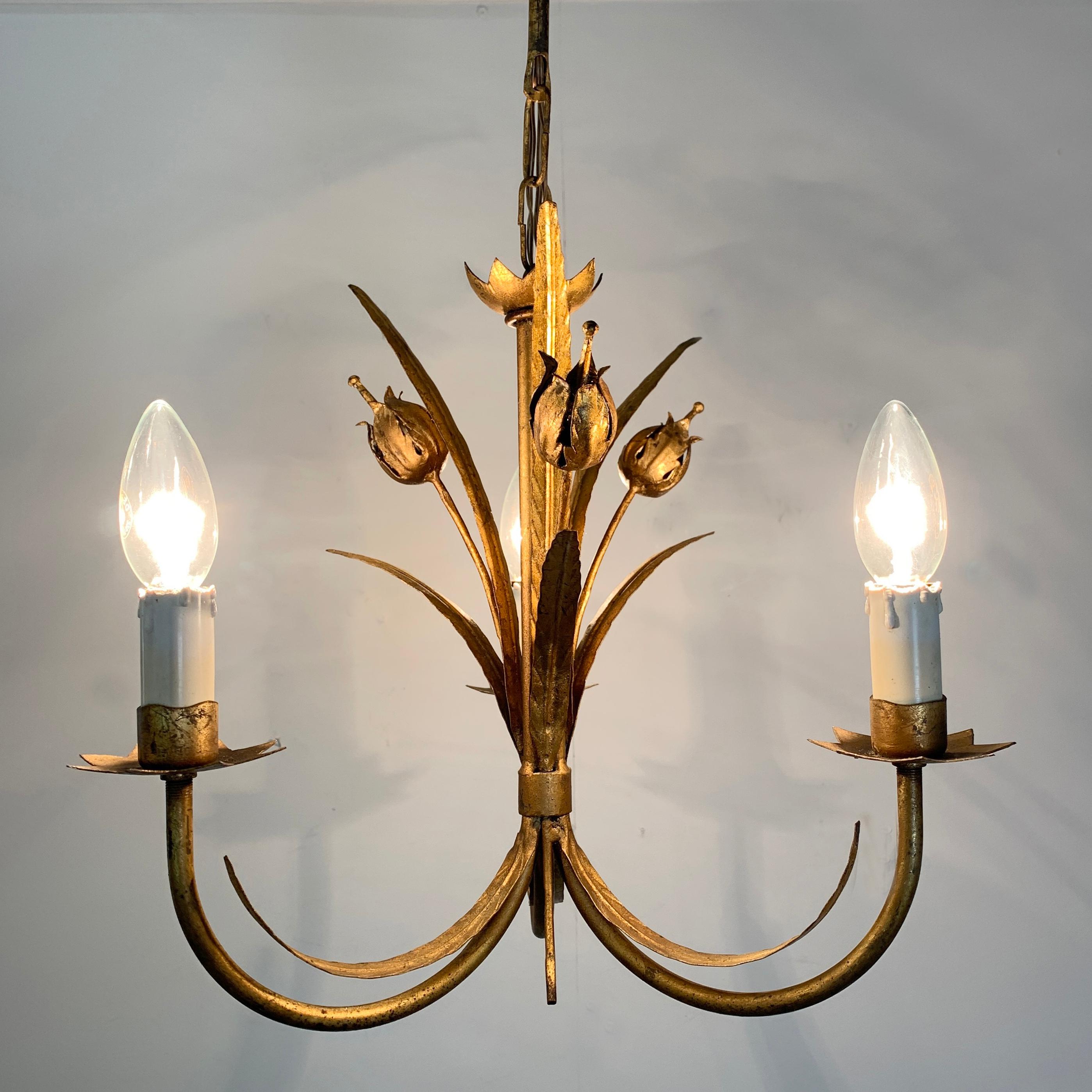 'Ferro Art' seed pod gilt chandelier, Spain, circa 1950s
Lovely smaller size chandelier with the Classic Ferro seed pod and leaf design
Measures: 50Cm total height, 36Cm width, 11Cm rose width
3 bulb holders, E14 Bulbs
PAT tested
 
The light