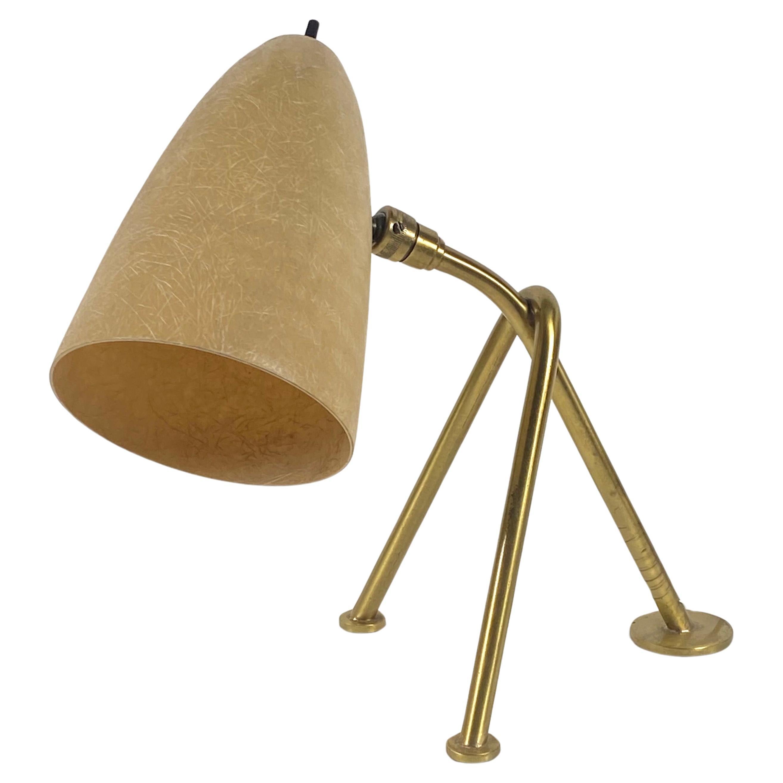 1950s Fiberglass & Brass Grasshopper Table Lamp For Sale