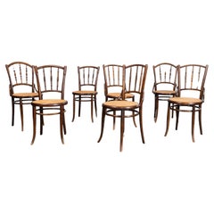 1950's Fischel Hooped Back Cane Seat Dining Chairs - Set Of Seven
