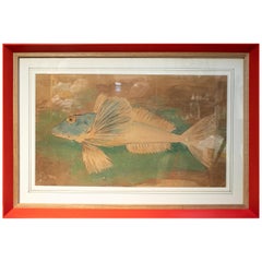 1950s Fish Watercolor Painting Signed M. Calleja Rajel