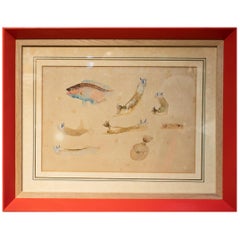 1950s Fishes Watercolor Painting Signed M. Calleja Rajel