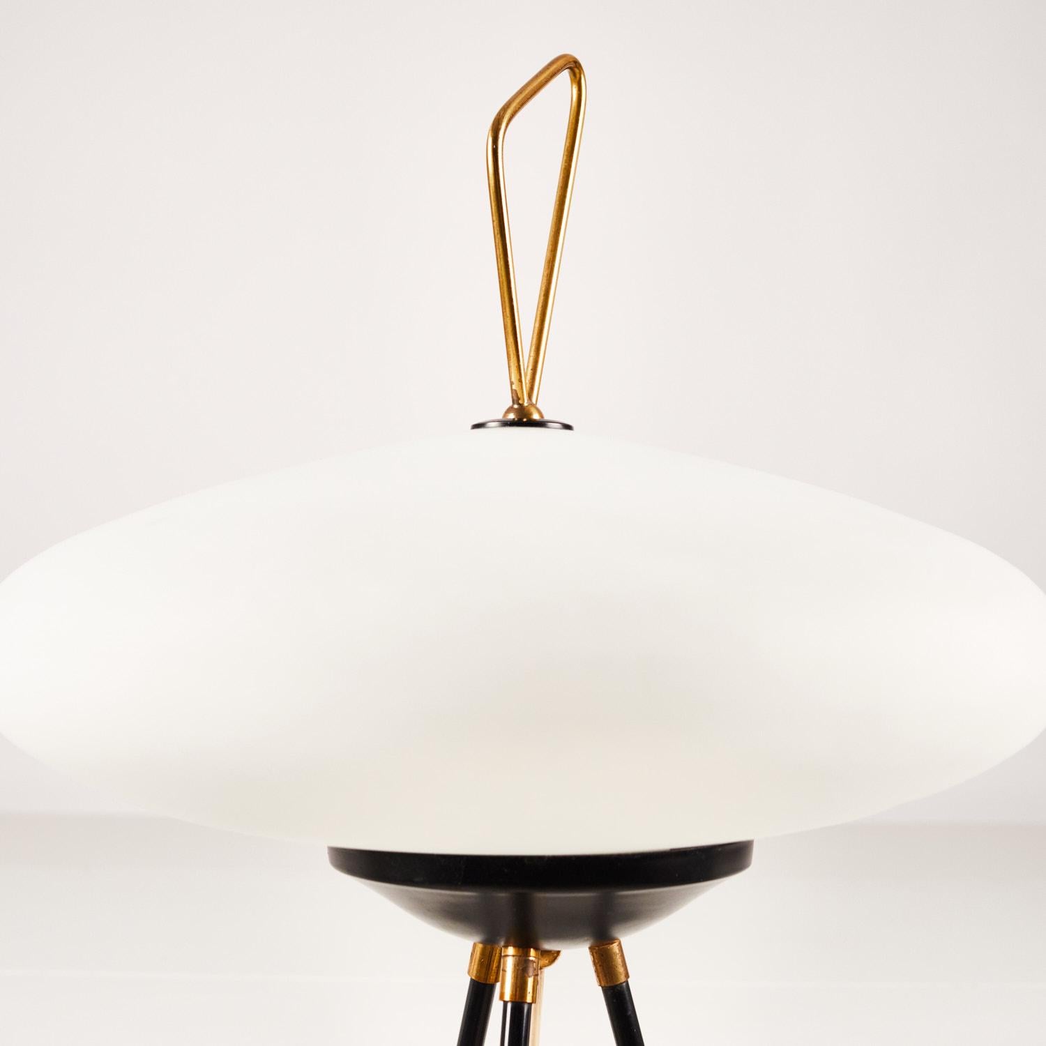 1950's Floor Lamp by Chiarini, Milan 4