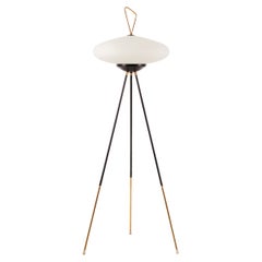 1950's Floor Lamp by Chiarini, Milan