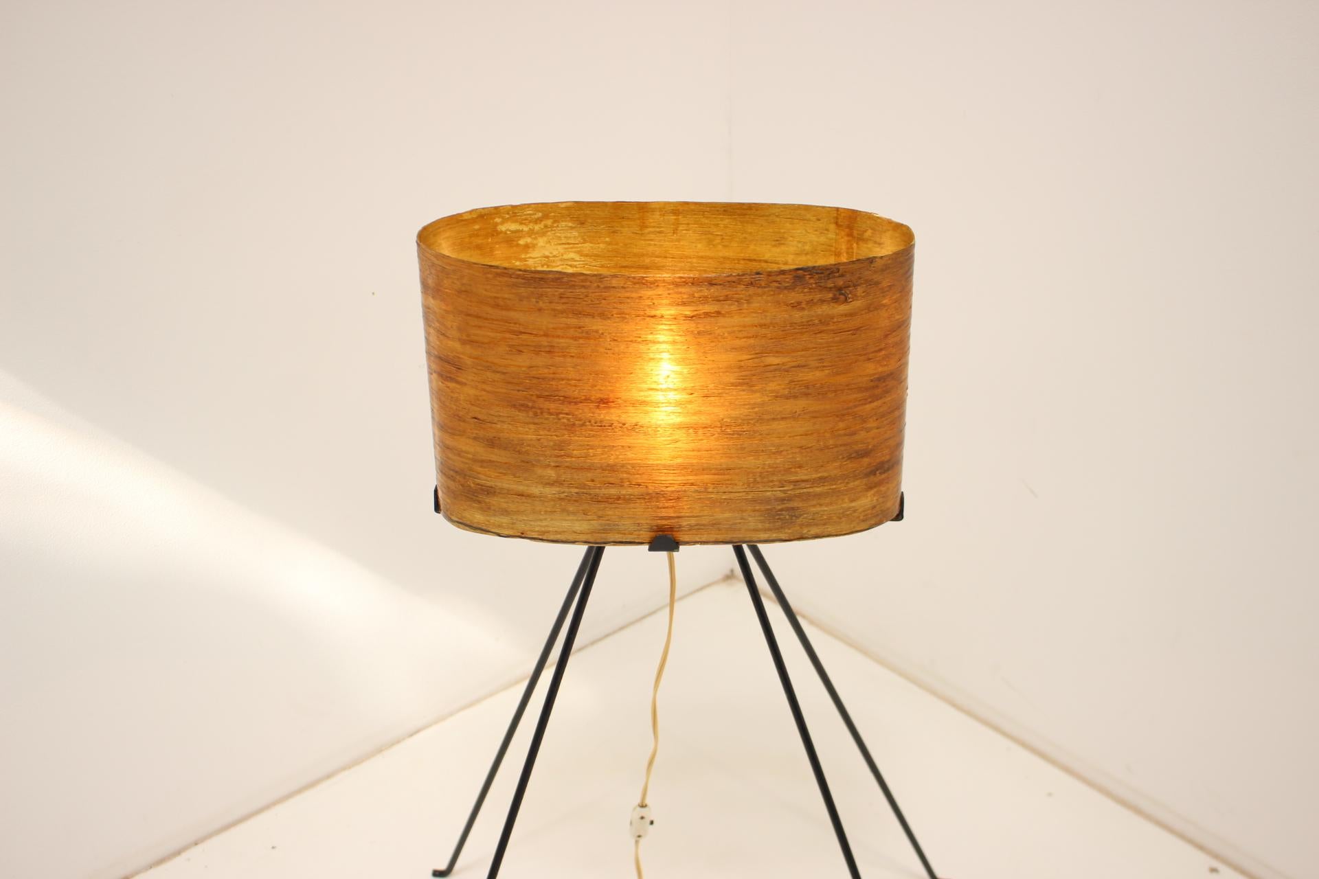 1950s Floor Lamp, Czechoslovakia For Sale 4