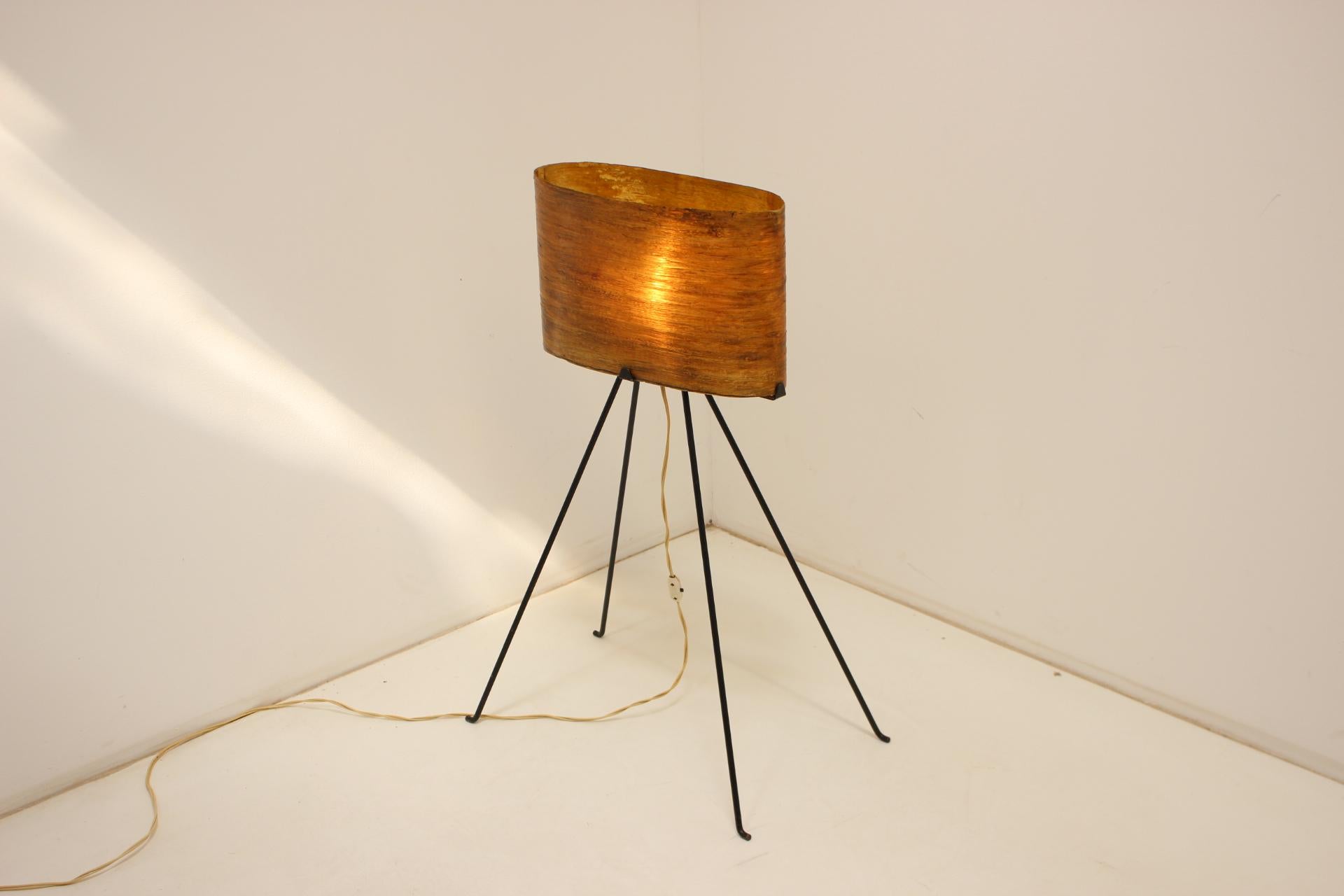1950s Floor Lamp, Czechoslovakia For Sale 6
