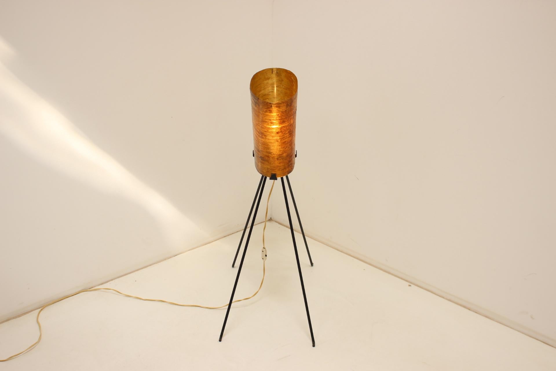 1950s Floor Lamp, Czechoslovakia For Sale 7