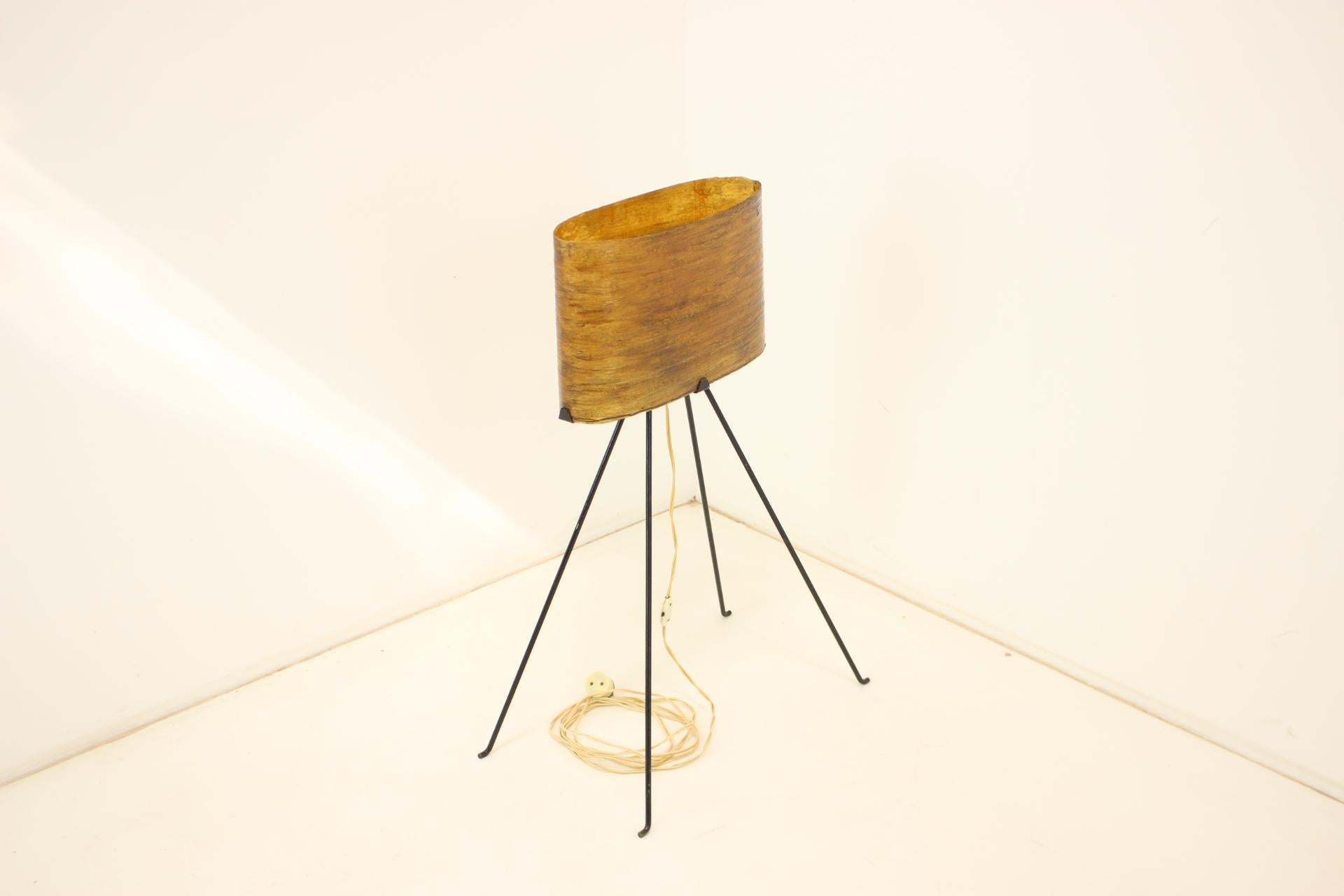 1950s Floor Lamp, Czechoslovakia For Sale 2