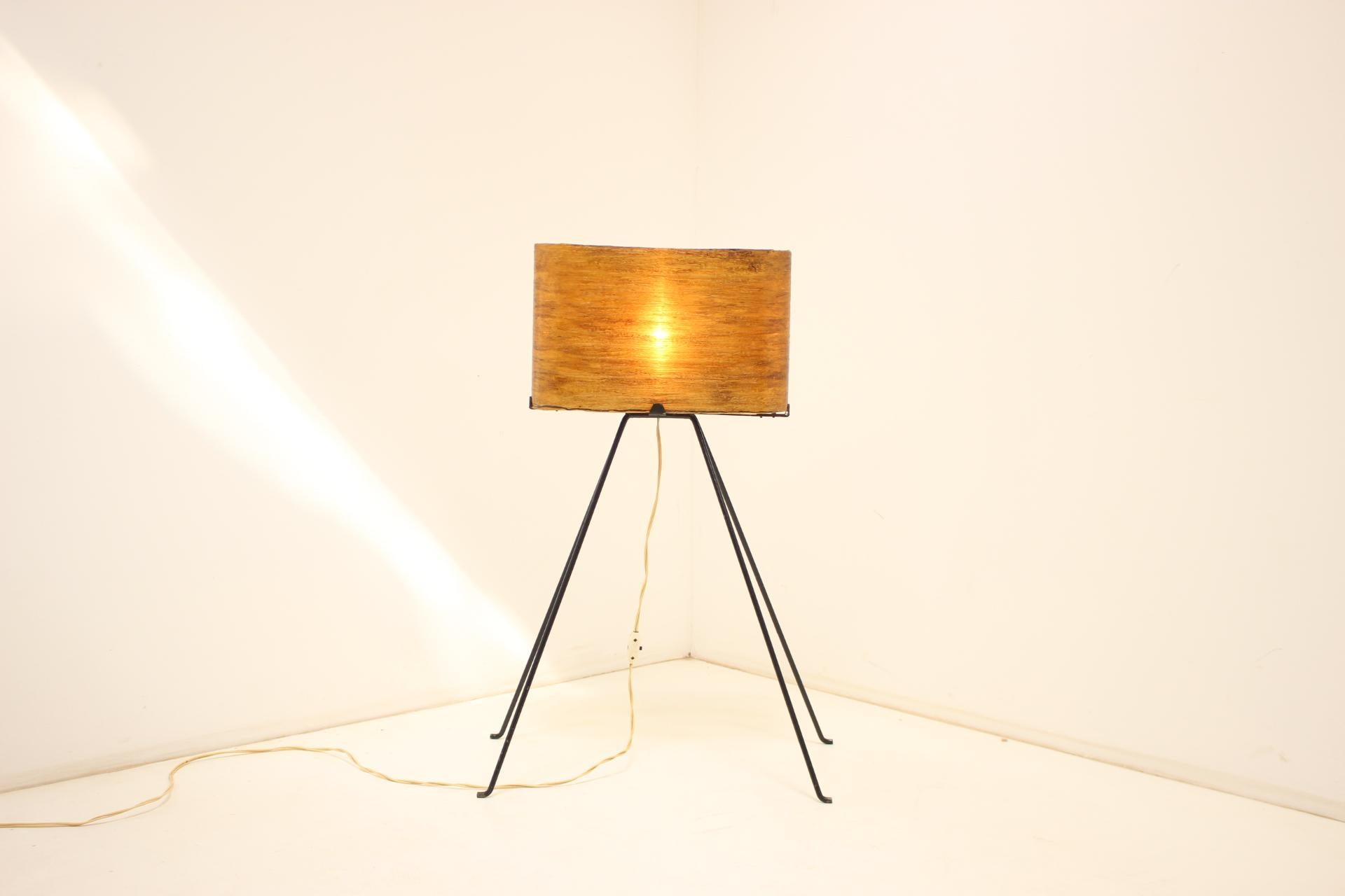 1950s Floor Lamp, Czechoslovakia For Sale 3