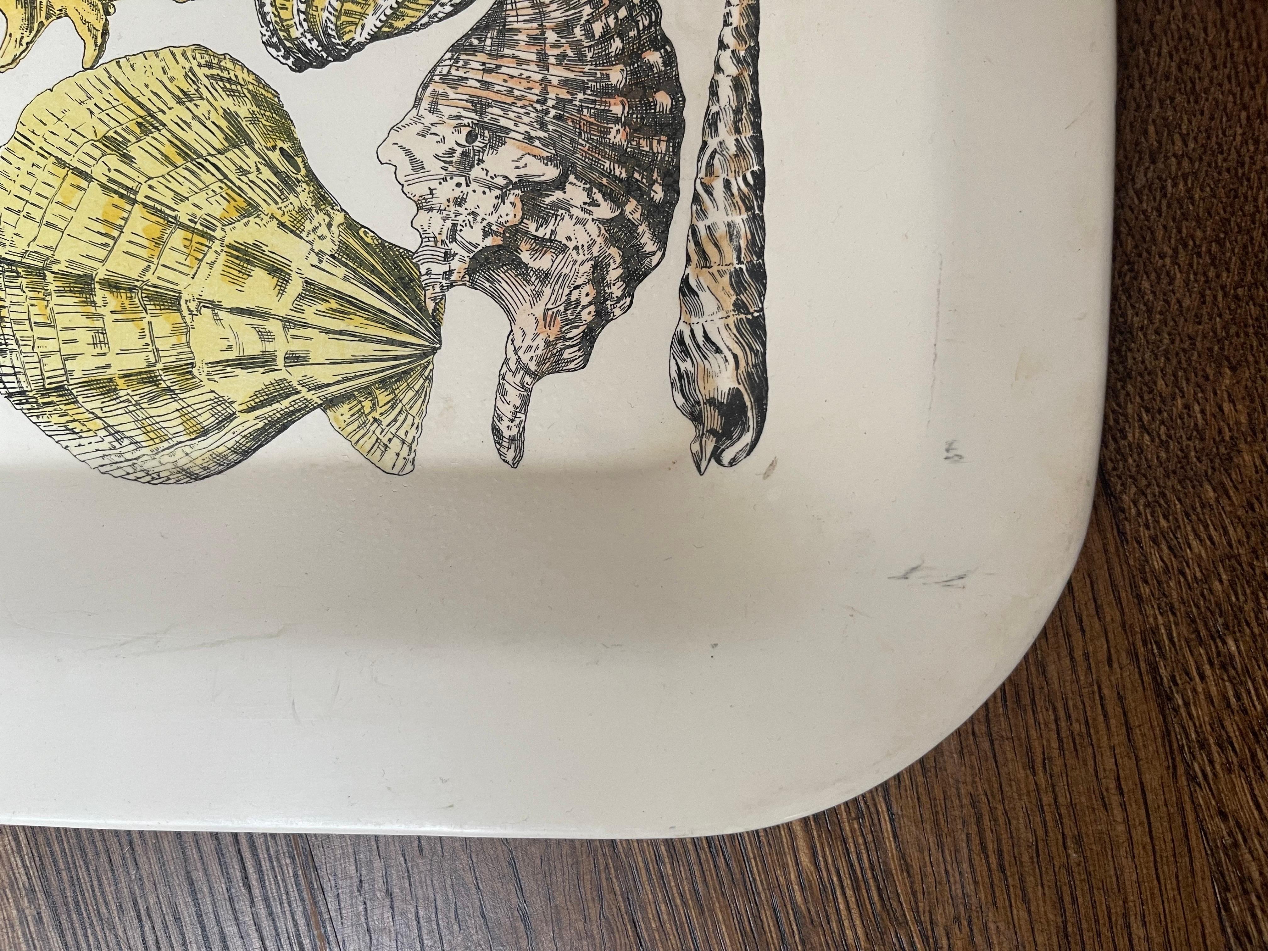 1950's Fornasetti Signed Shell Tray In Good Condition In Brooklyn, NY