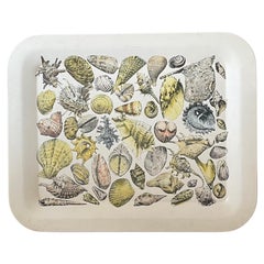 1950's Fornasetti Signed Shell Tray