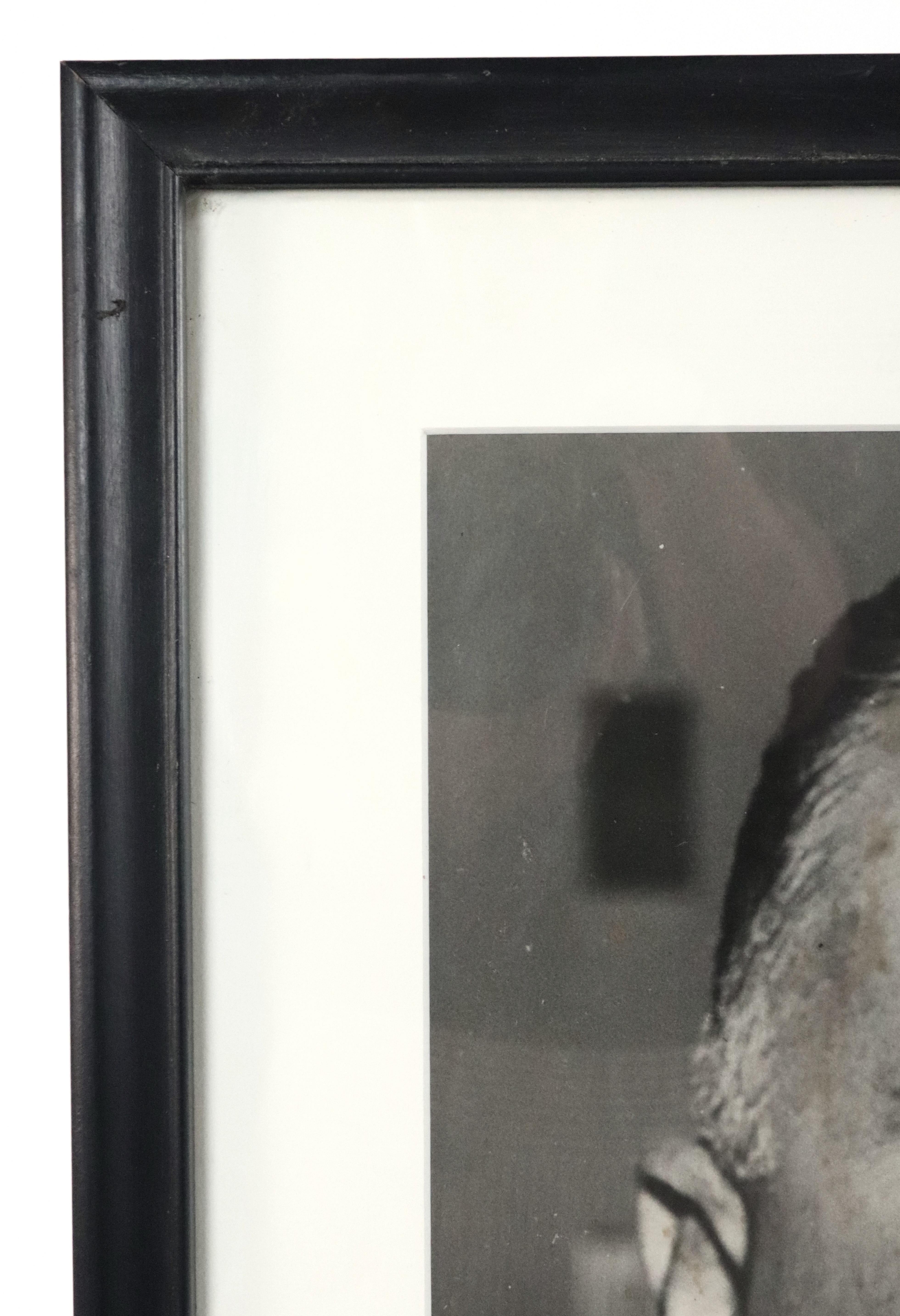 Verre Photographie noir et blanc encadrée de J. Edgar Hoover datant des années 1950 en vente