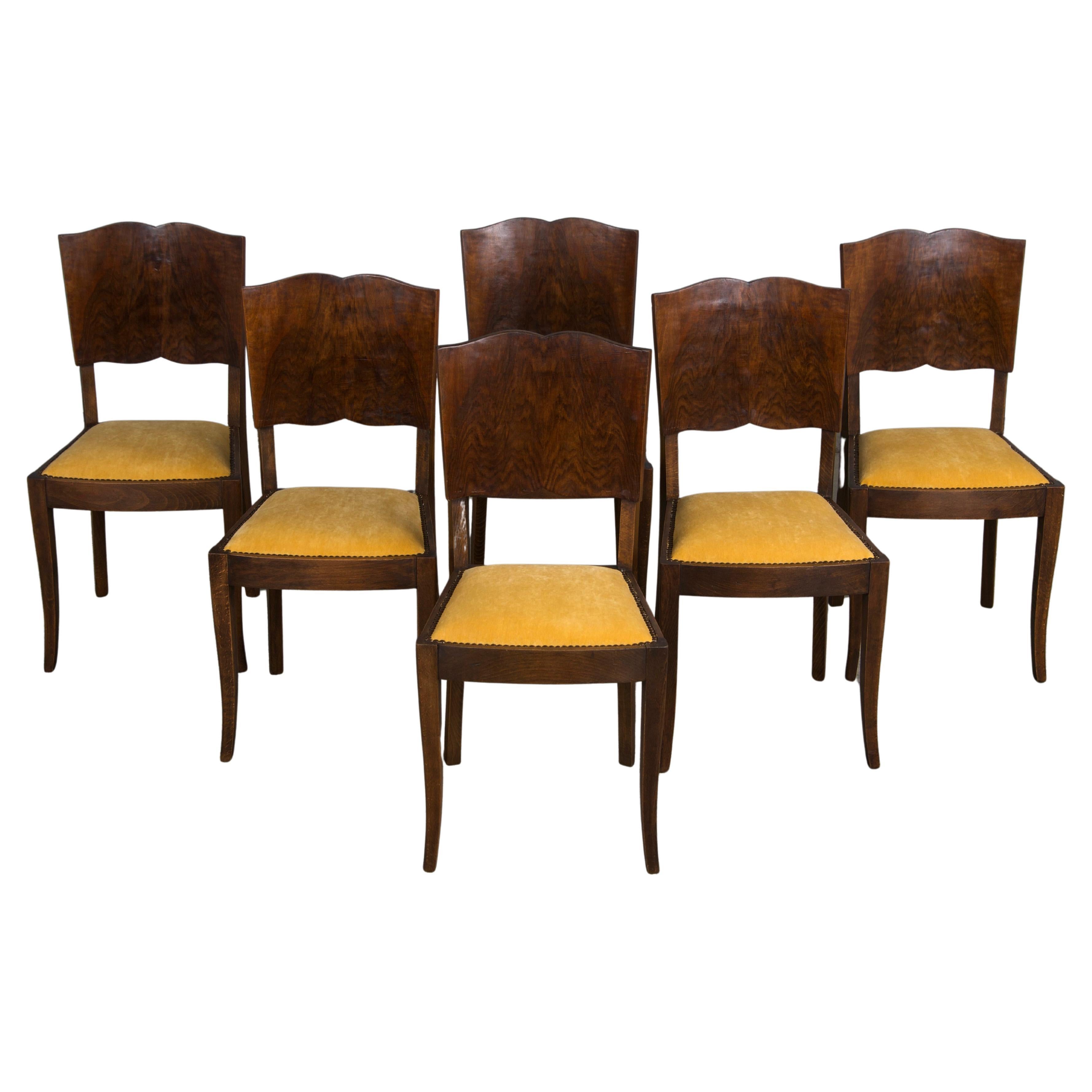 1950s French Art Deco Maple Dining Chairs W/ Golden Yellow Velvet - Set of 6