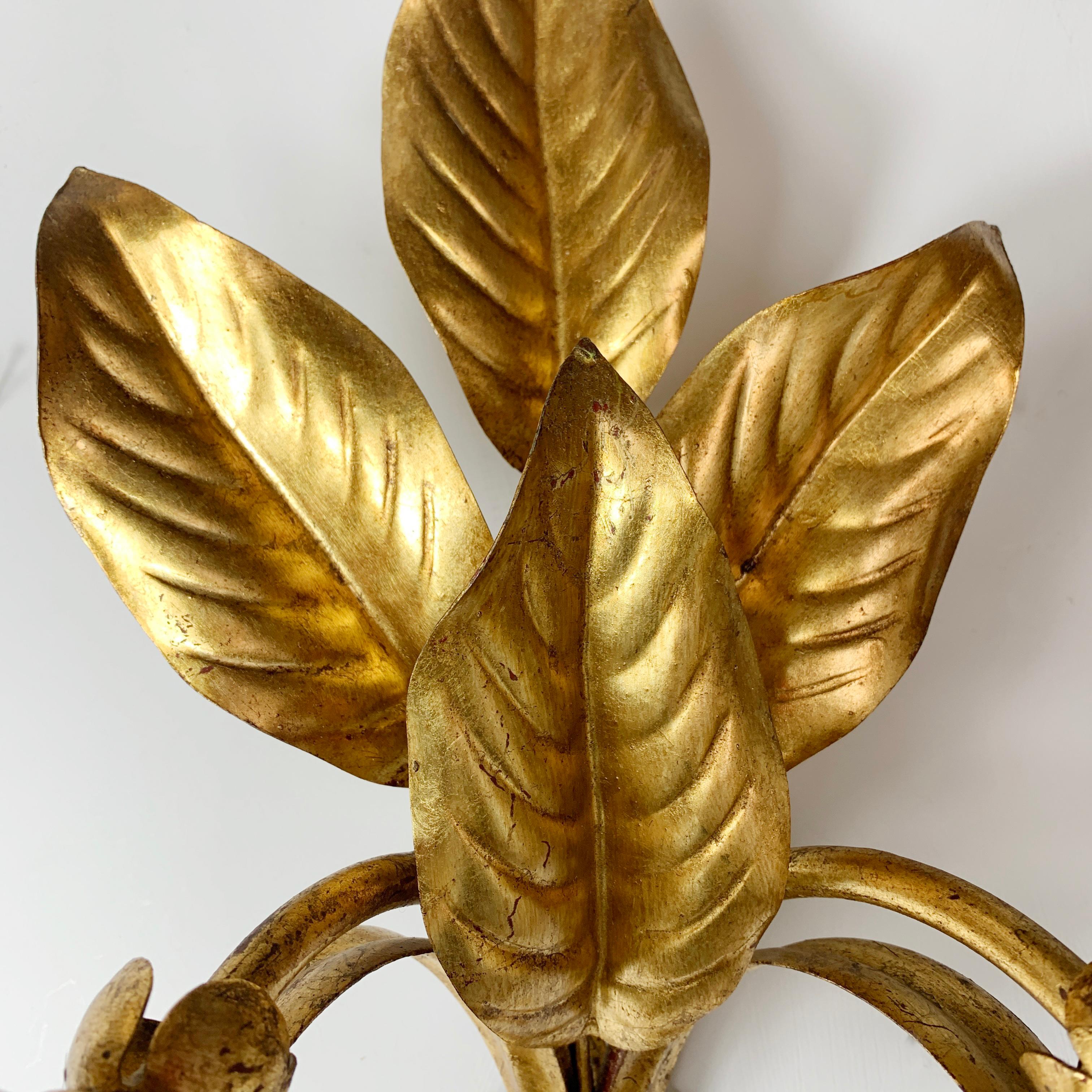 Mid-Century Modern 1950s French Feuilles D’or Wall Lights
