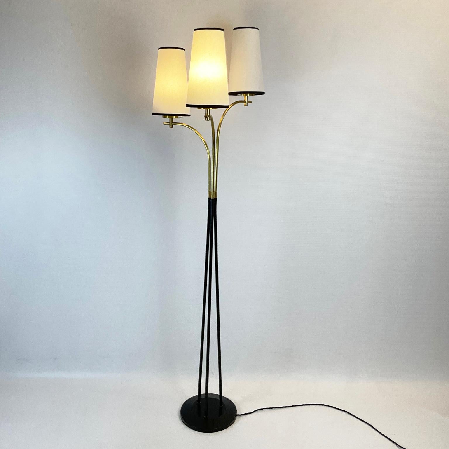 1950s Floor Lamp Attributed to Maison Lunel France 2