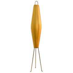 1950's Dutch Cocoon Shape Elongated Floor Lamp on Brass Tripod Legs by Artimeta