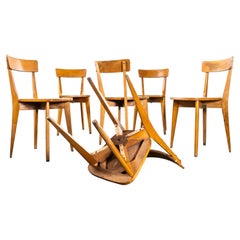 Französische Luterma-Esszimmerstühle aus gebogenem Holz mit Kreuzfuß aus den 1950er Jahren – 6er-Set