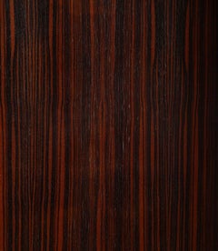 1950s French Macassar Ebony Screen