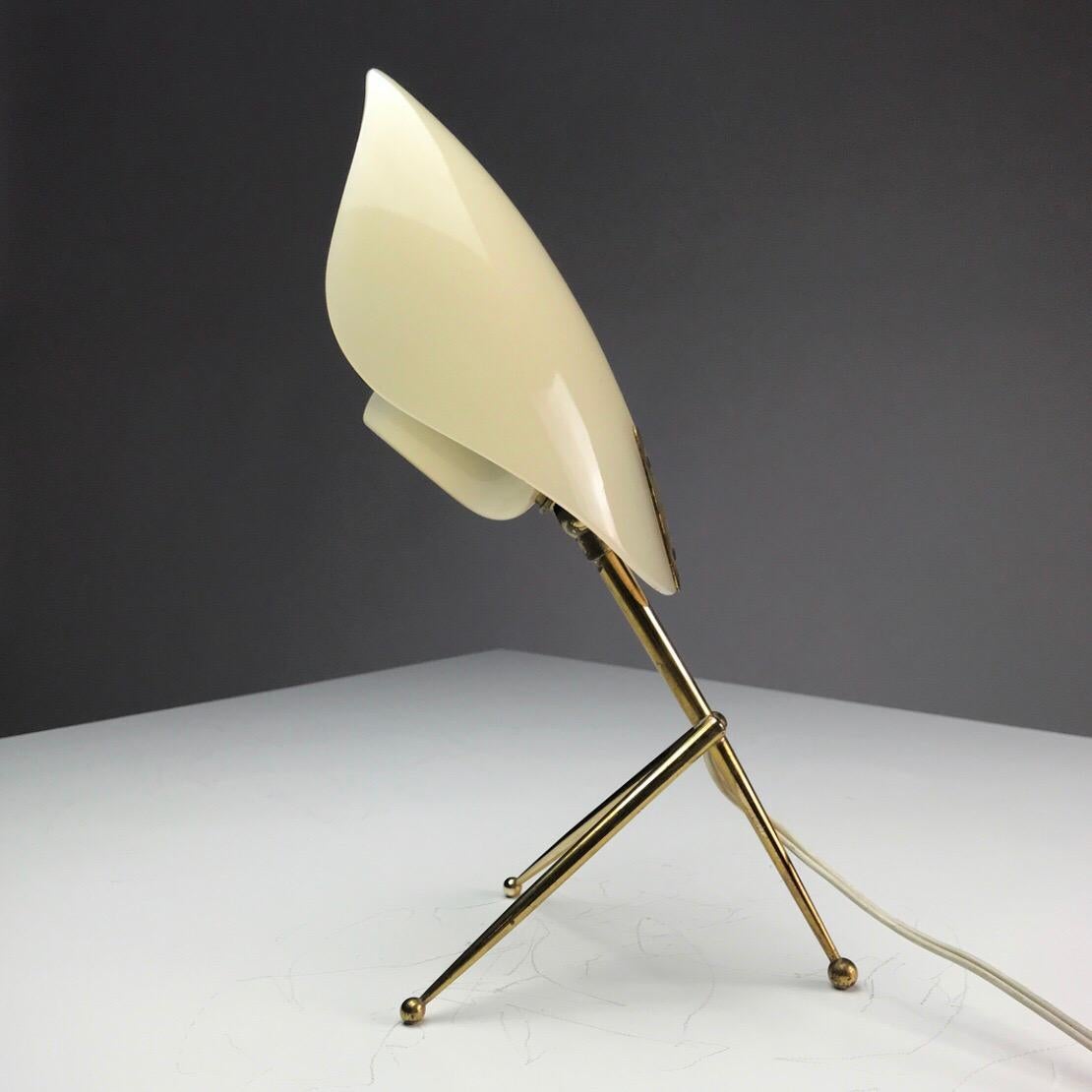 1950s German Brass Table Lamps Stilnovo Style with Perspex Tulip Shaped Shades 4