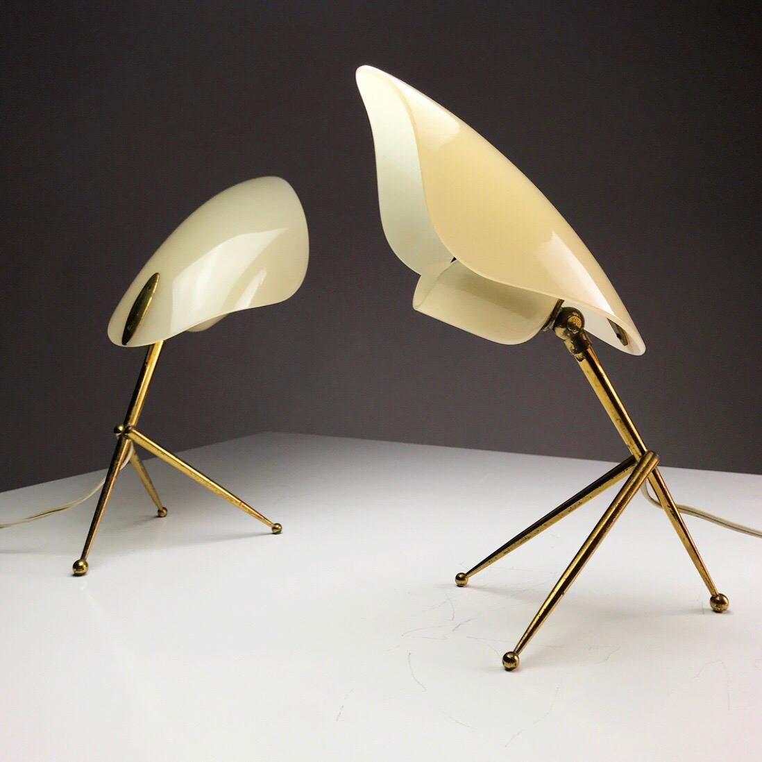 Mid-Century Modern 1950s German Brass Table Lamps Stilnovo Style with Perspex Tulip Shaped Shades