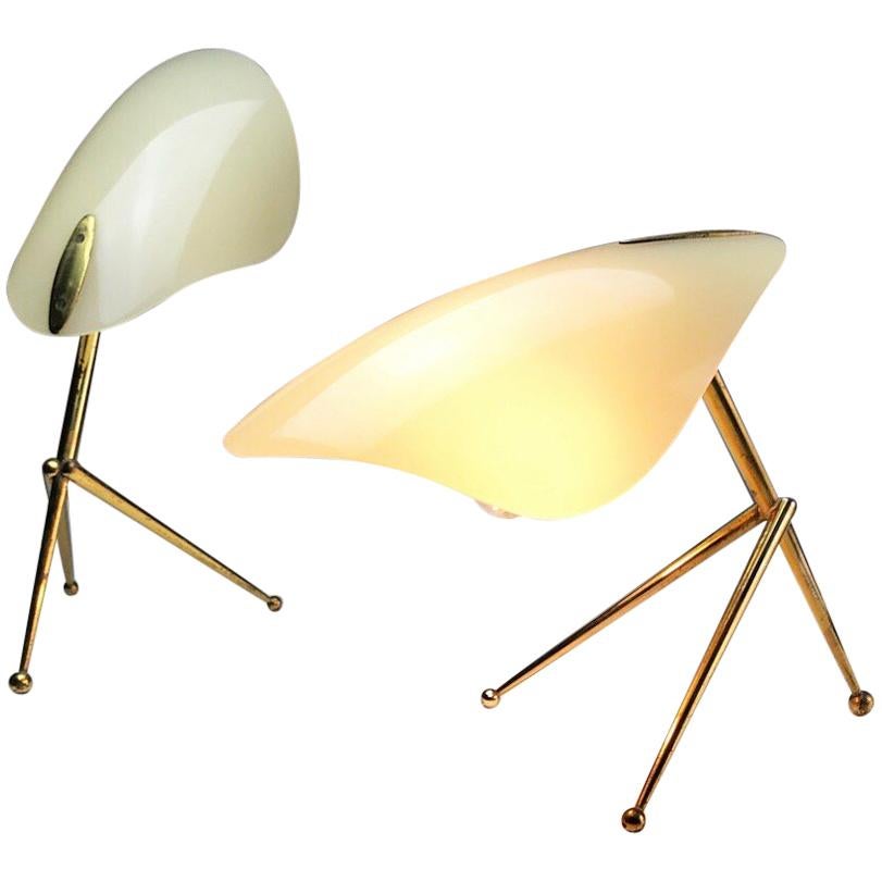 1950s German Brass Table Lamps Stilnovo Style with Perspex Tulip Shaped Shades