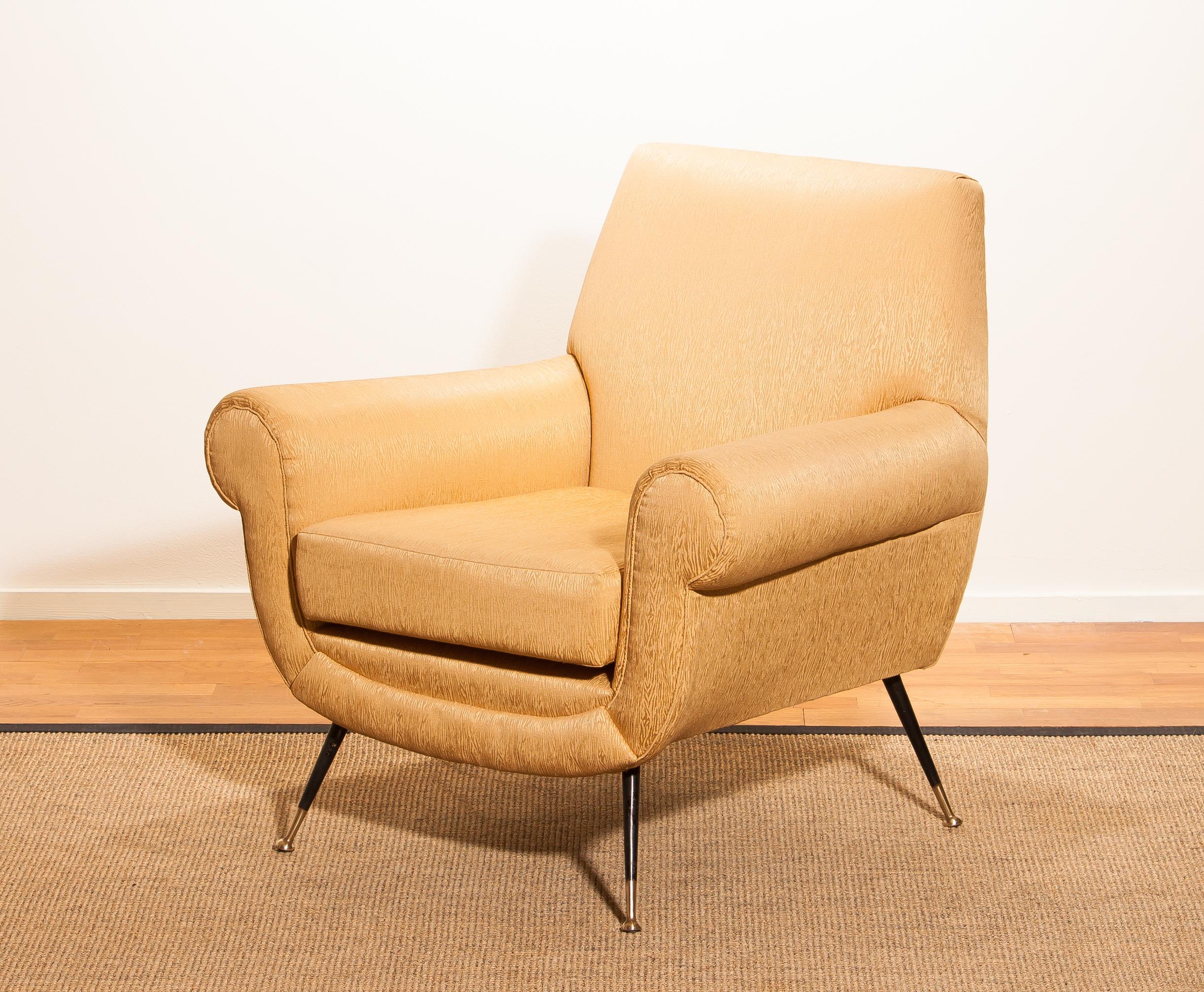 Mid-Century Modern 1950s, Gigi Radice for Minotti Easy Chair in Golden Jacquard and Slim Brass Legs