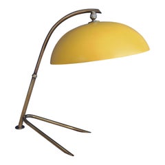 1950s Gorgeous Table Lamp by Stilnovo