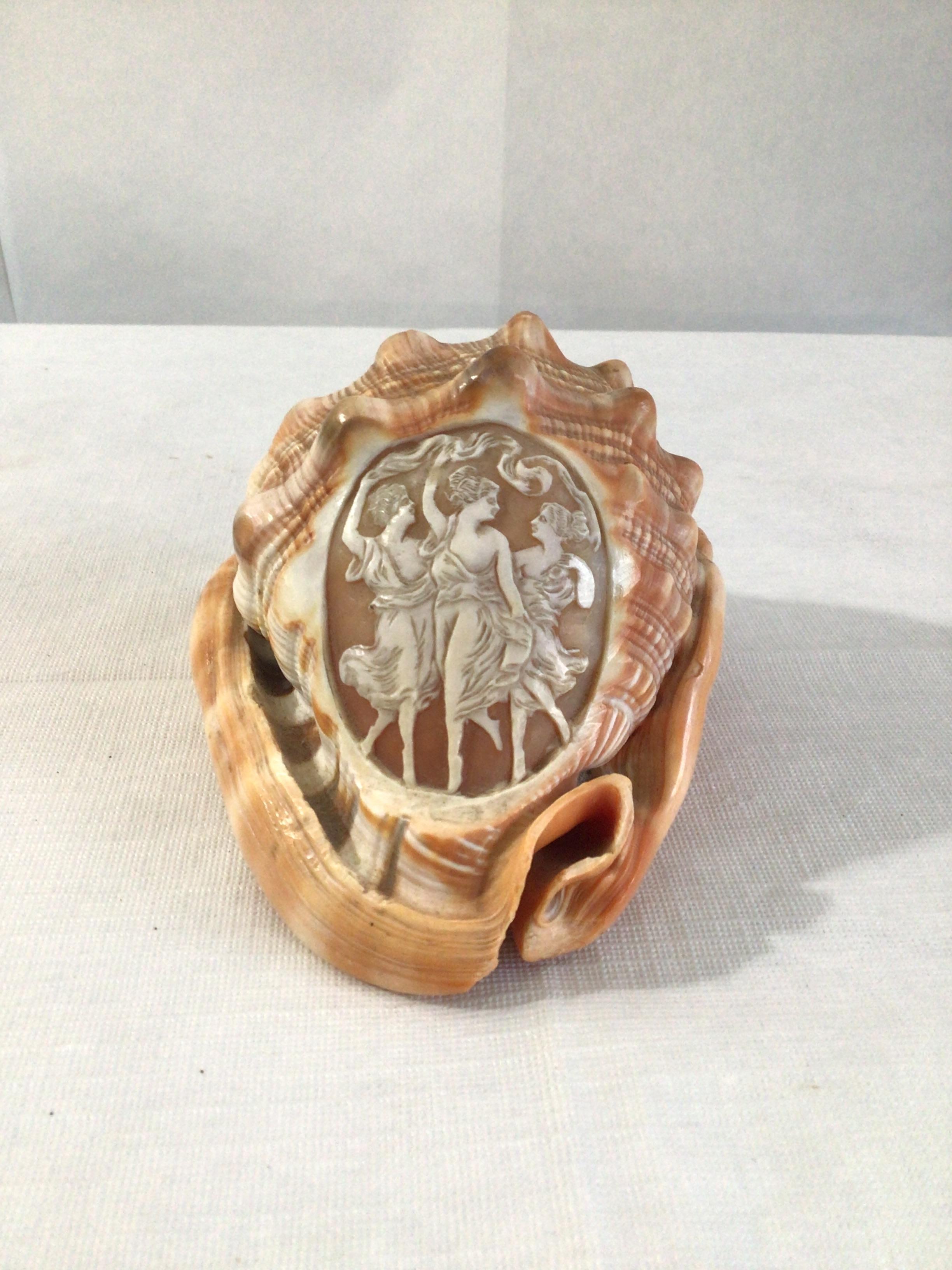 A beautiful hand carved cameo on conch seashell depicting dancing women made circa 1950s

.