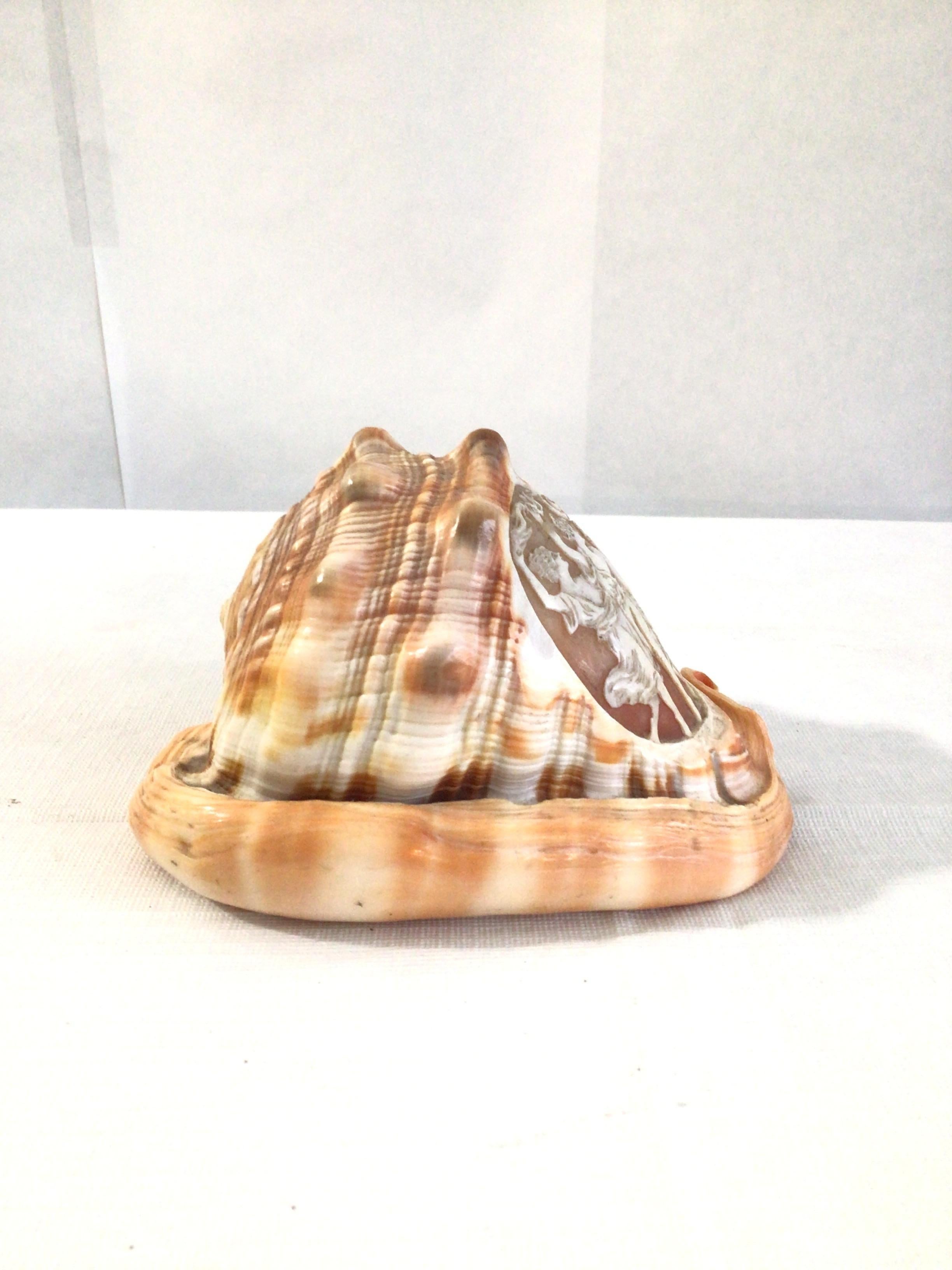 Hollywood Regency 1950s Hand Carved Cameo of Dancing Women on Conch Seashell For Sale