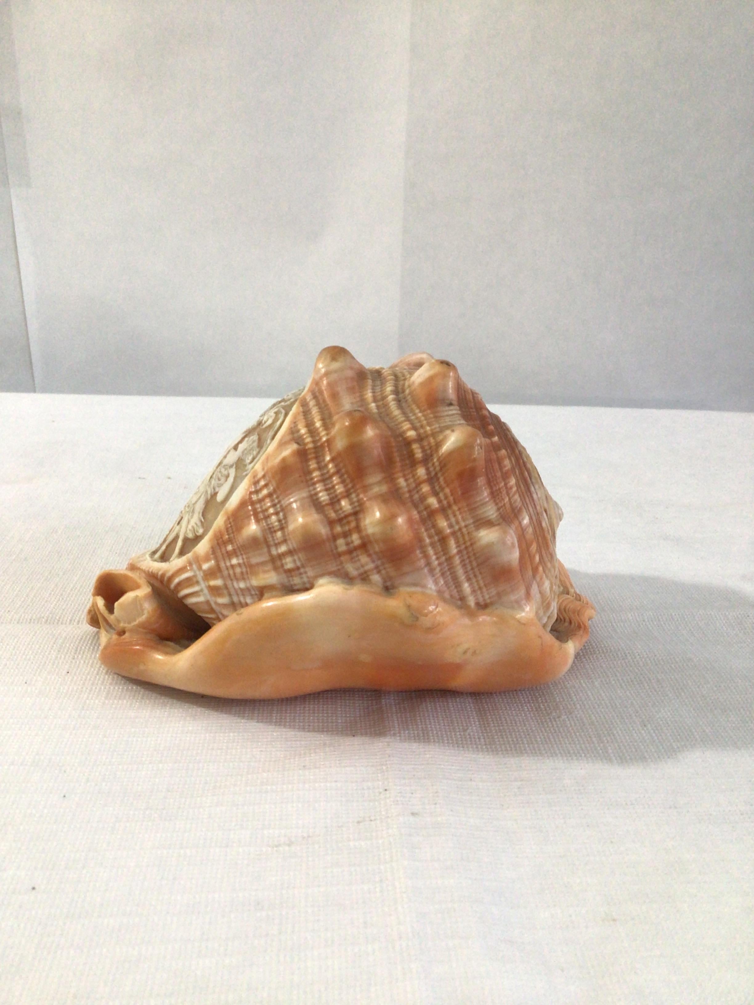 1950s Hand Carved Cameo of Dancing Women on Conch Seashell In Good Condition For Sale In Tarrytown, NY
