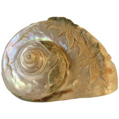 1950s Hand Carved Sea Shell