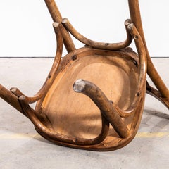 1950’s Harlequin Mixed Luterma Honey Oak Bentwood Dining Chair – Set Of Twelve