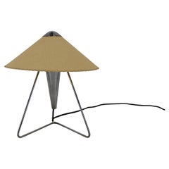1950s Helena Frantova Table or Wall Lamp  for OKOLO, Czechoslovakia