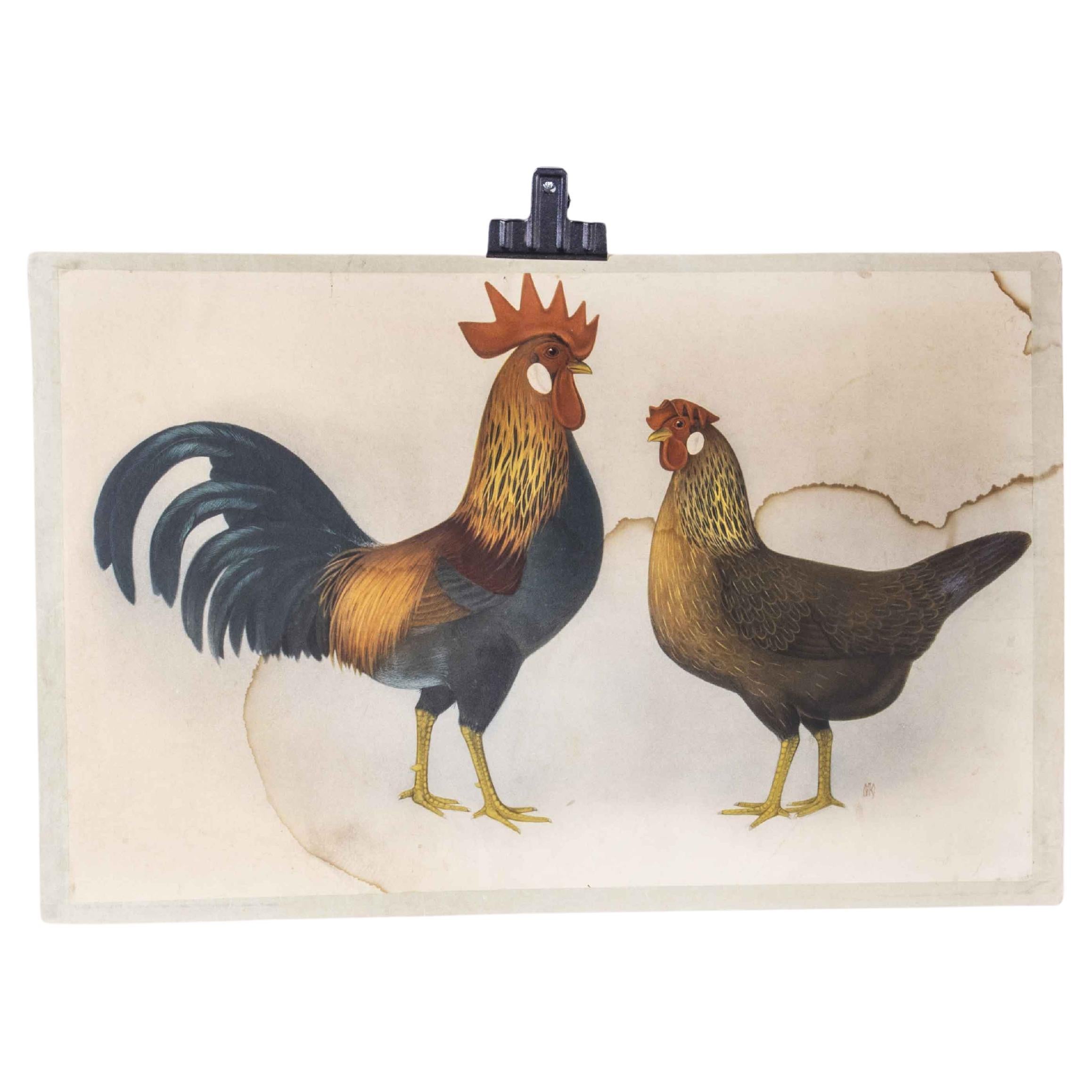 1950's Hen and Rooster Educational Poster For Sale
