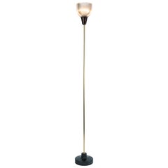 1950s Ignazio Gardella LT6 Floor Lamp for Azucena