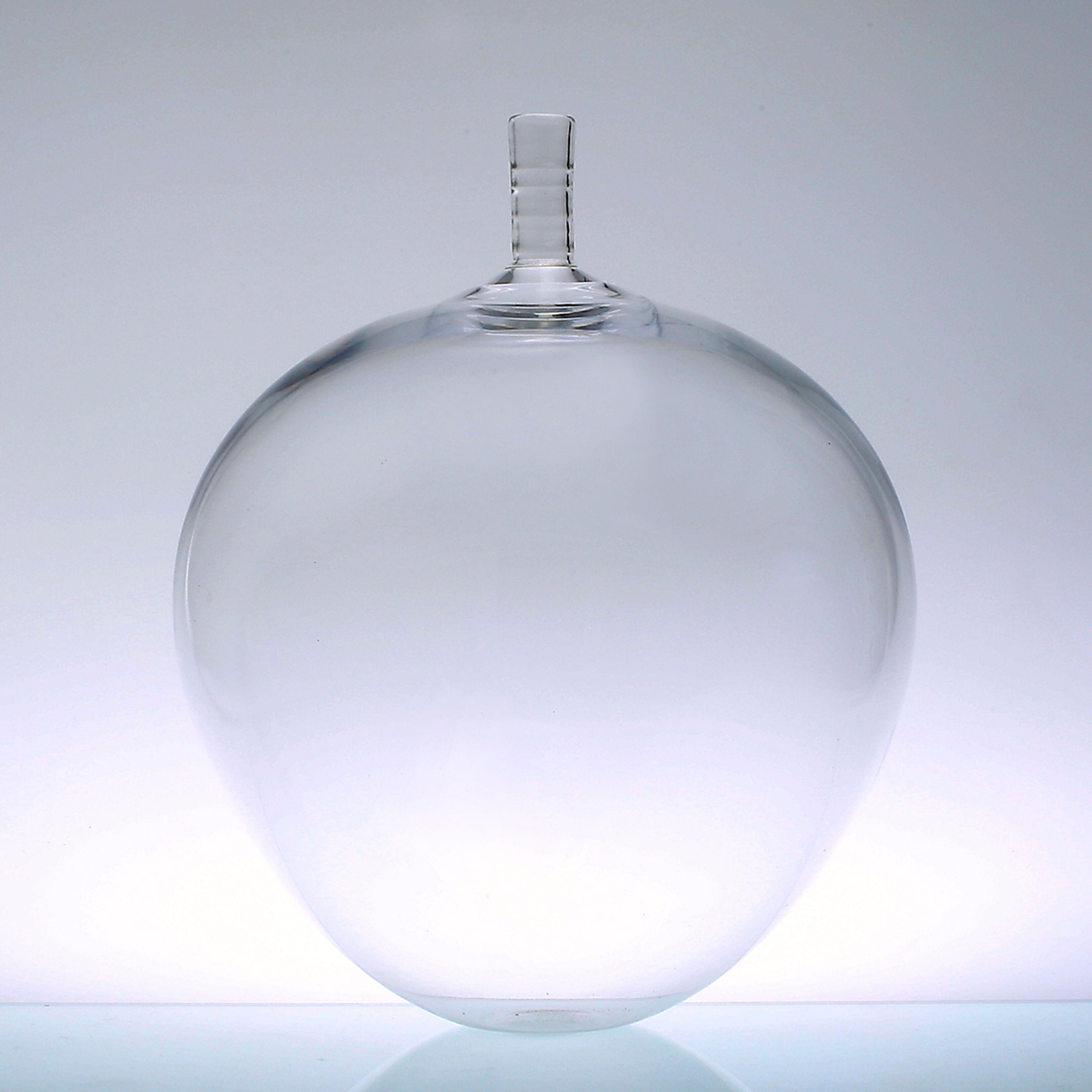 Vase en verre transparent 