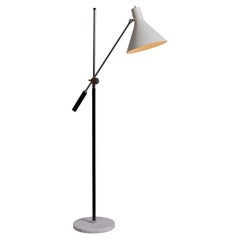 Lampade da terra