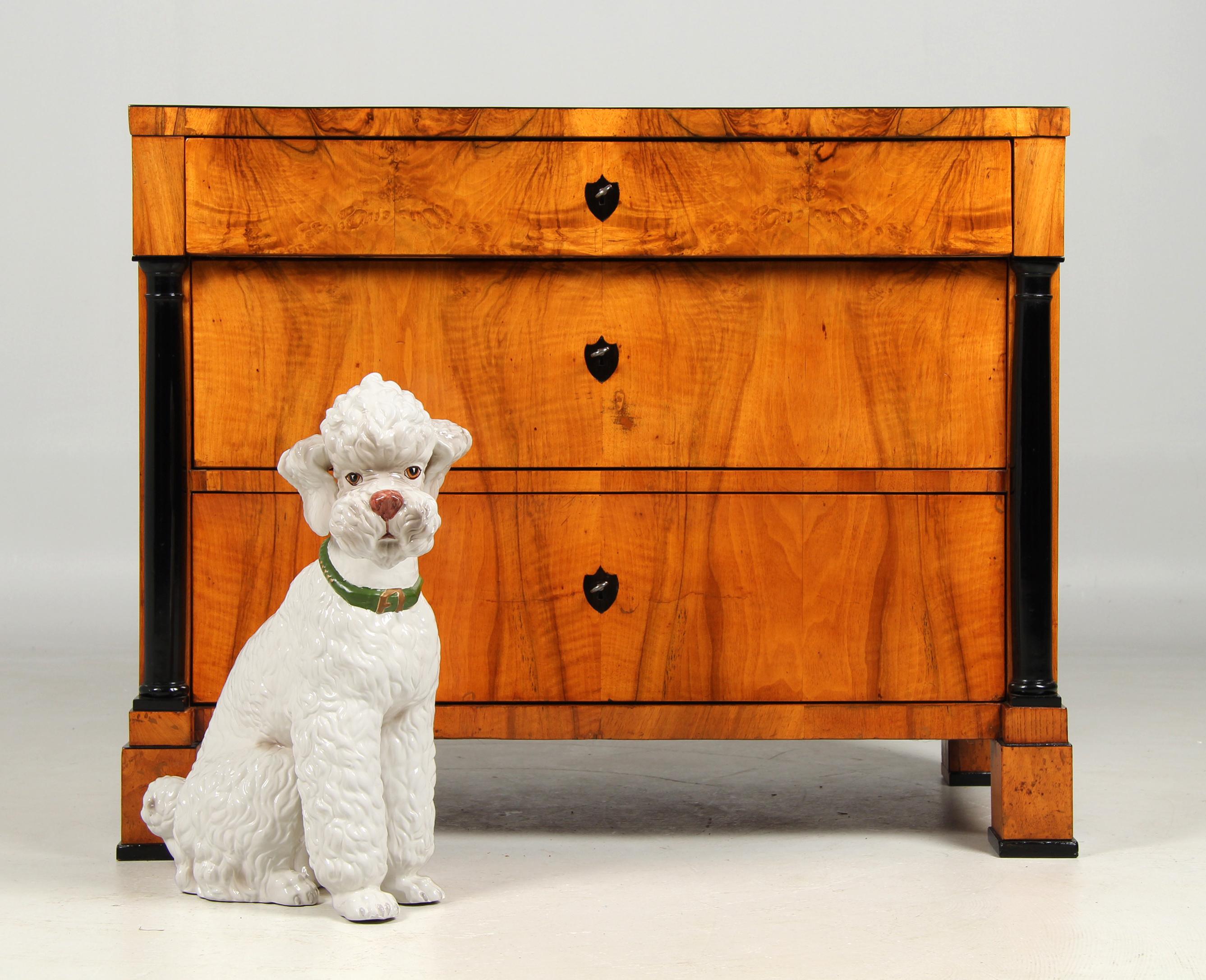 Caniche de cerámica de tamaño natural y detallado. Blanco esmaltado con ojos, hocico y collar de color.

Inscripción en la parte inferior: Made in Italy 7382.

Excelente estado, limpio y sin daños.