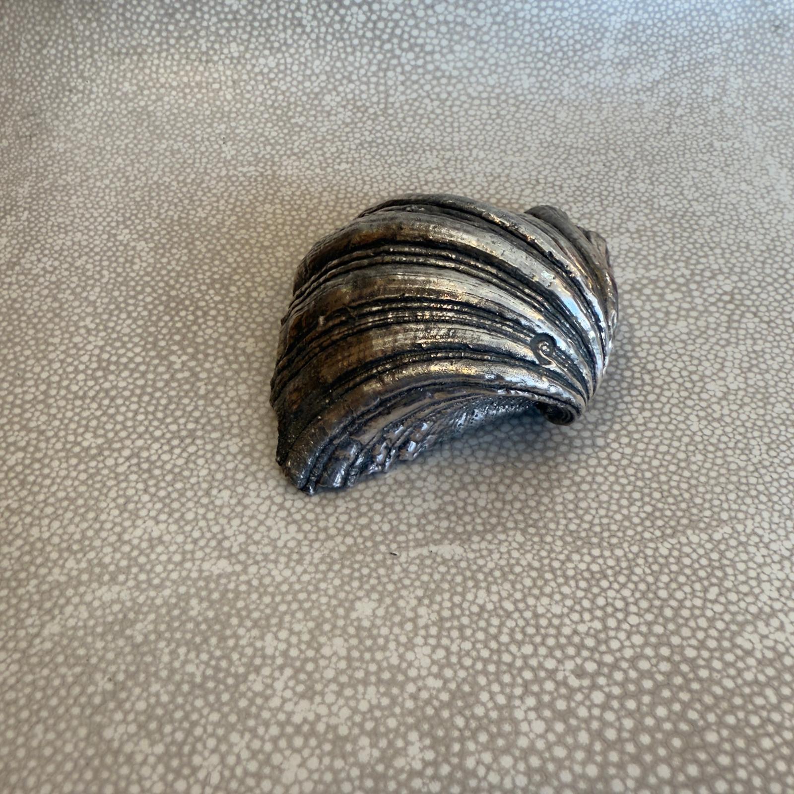 Italian c.50's silvered clam seashell stamped Buccellati with a silver marks