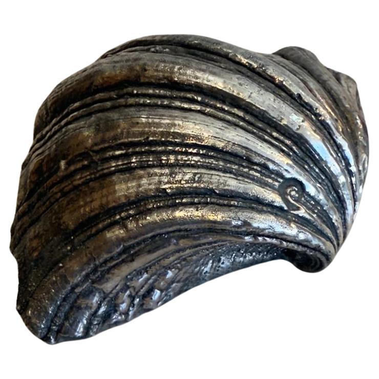 1950's Italian Silver Coated Seashell Stamped Buccellati With A Silver Marks For Sale